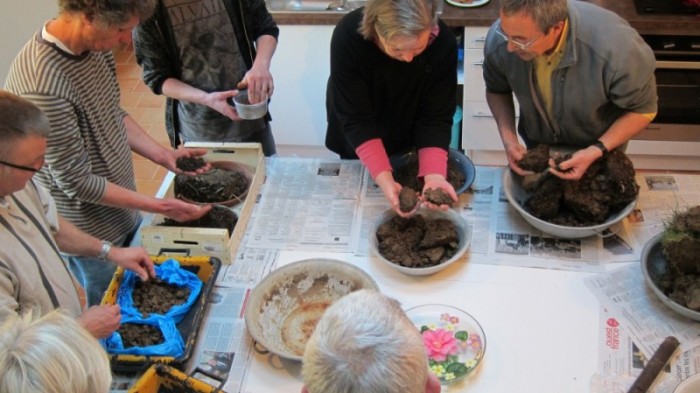 Observation des mottes de terre des stagiaires