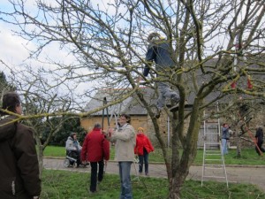 aille des pommiers, excercices pratiques